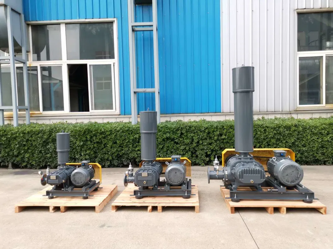 Air Roots Blower Vacuum Pump for Sewage Treatment